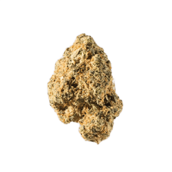 avaay 24/1 SK Sour Kush